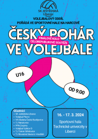 Plakát Český pohár - volejbal